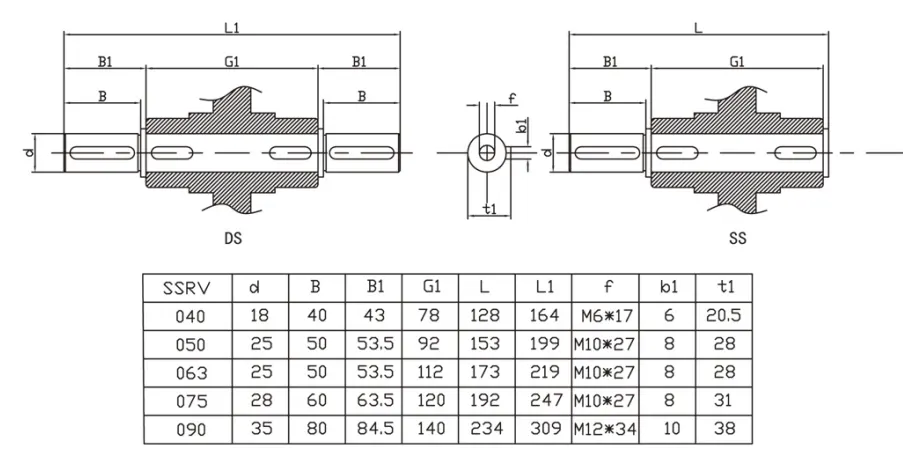 SSRV series stainless steel worm reducer output shaft options A B E