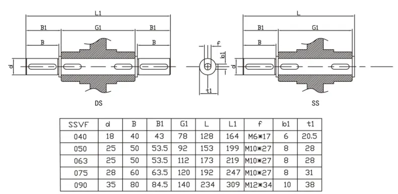 SSVF series stainless steel worm reducer output shaft options