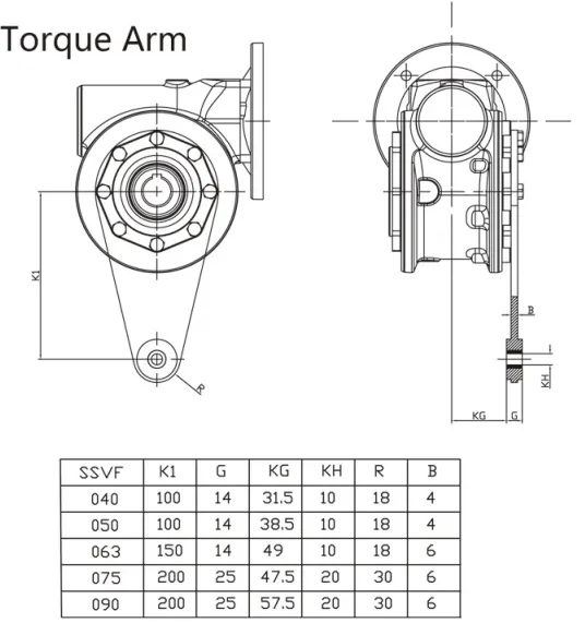 SSVF series stainless steel worm reducer torque arm mounting