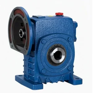 WPDKS Single Speed Cast Iron Worm Reducer — WP Series