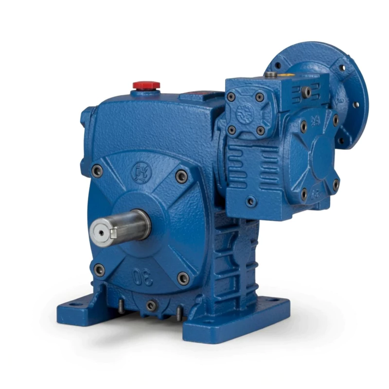 WPEDS double reduction worm gearbox